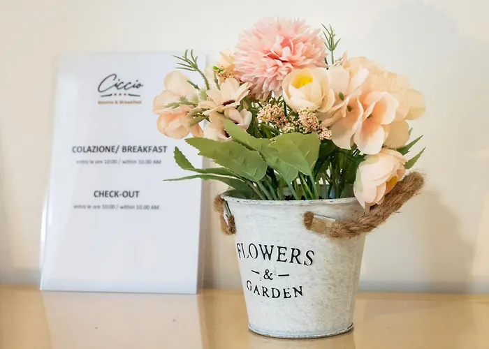 Ciccio Rooms And Breakfast - Self Check-In